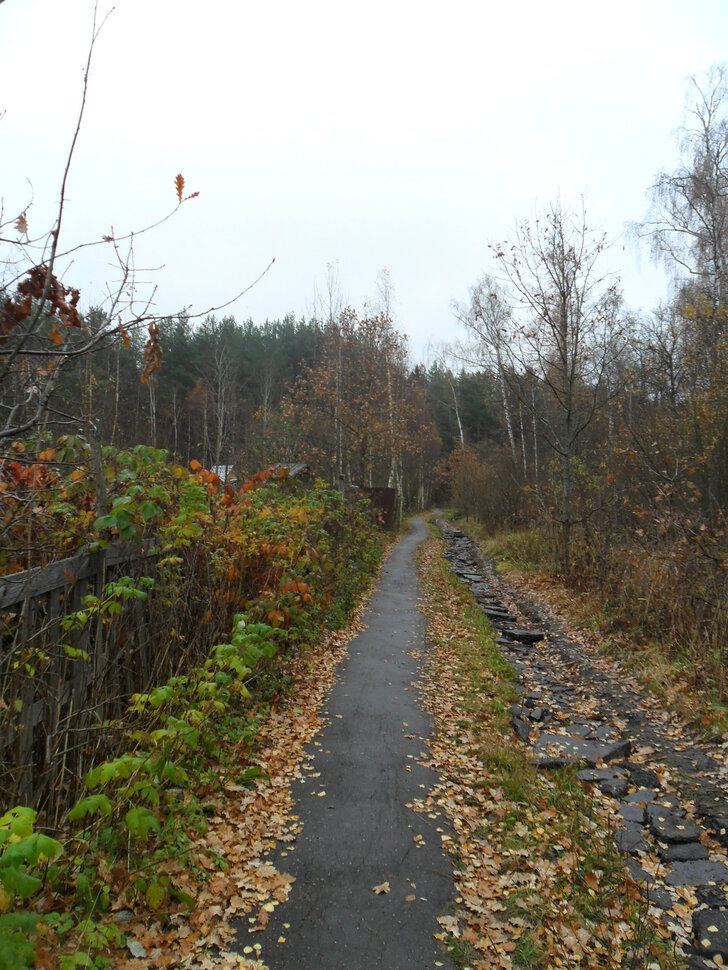 Предзимье,глубокая осень