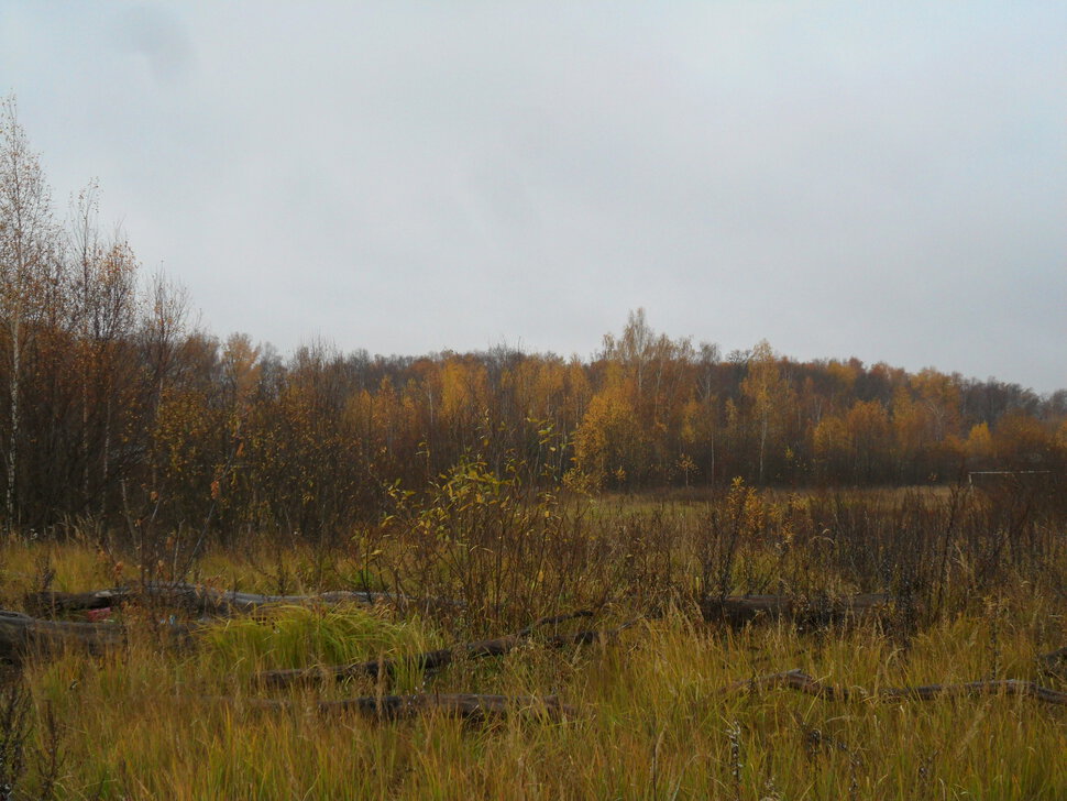 Предзимье,глубокая осень