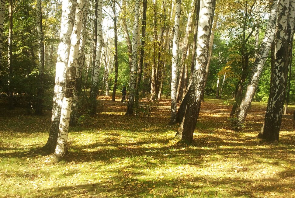 Сентябрь