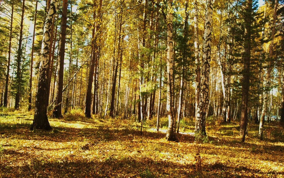 В солнечном октябре