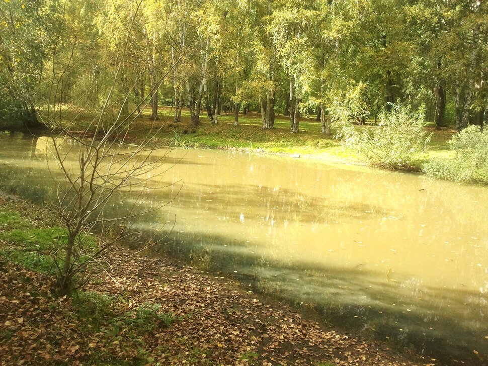 Сентябрь