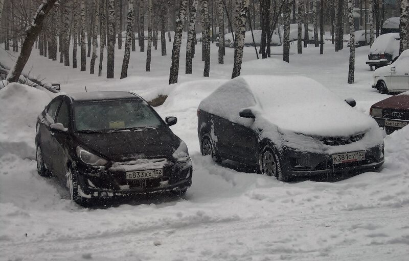 Сонное царство авто