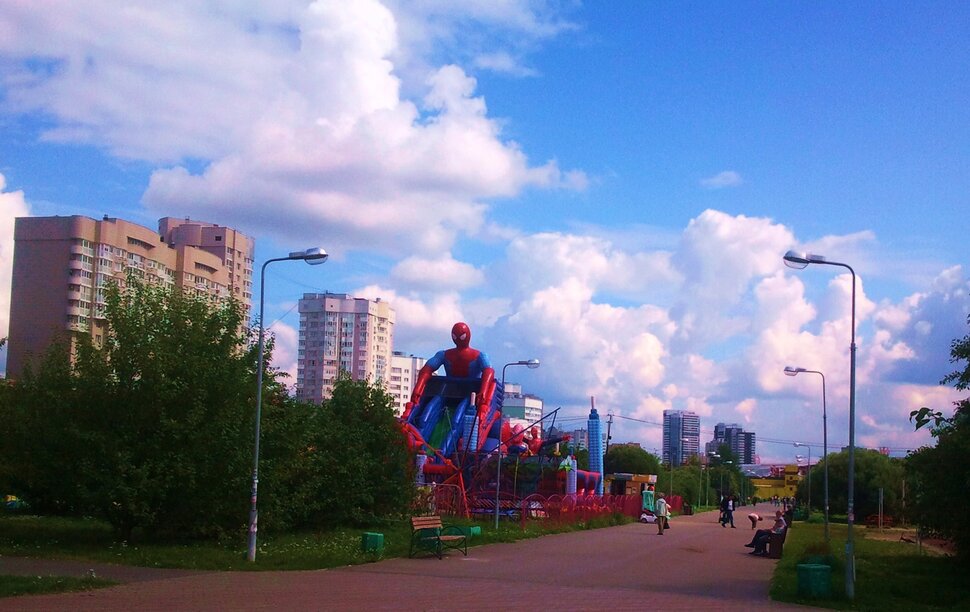 В парке летом