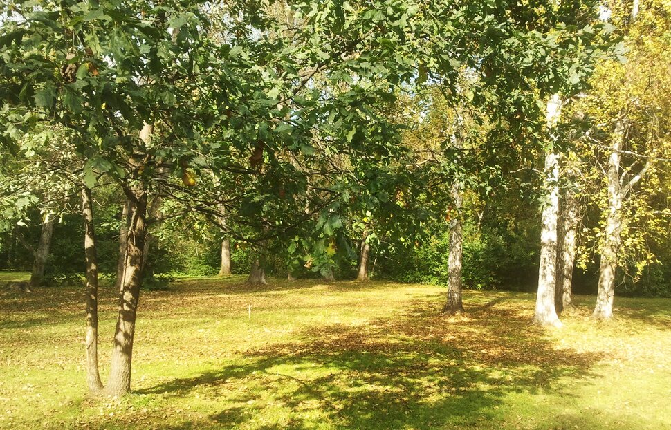 Сентябрь