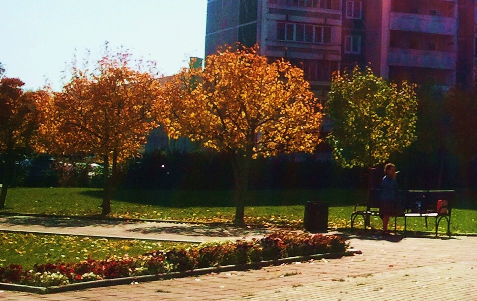 Сентябрь