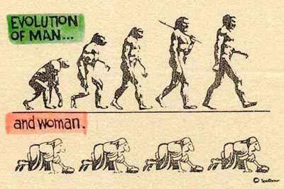 Мужская и женская эволюция