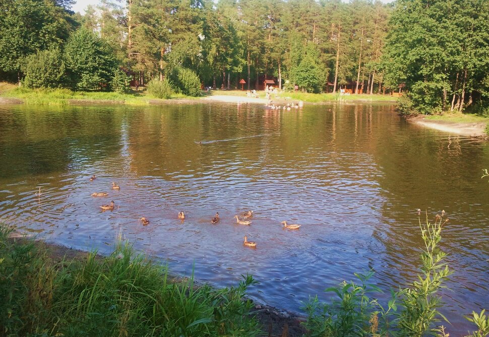 У озерца