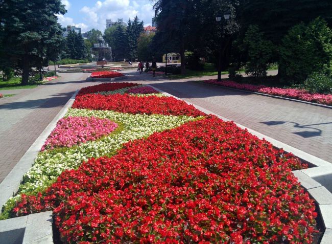 В дендрарии