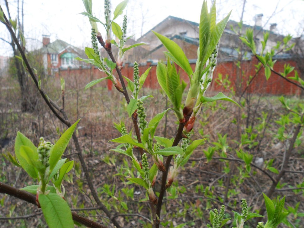 Der April,den April,was er will?