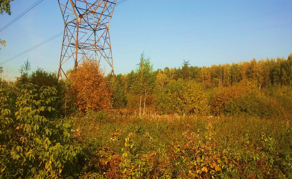 Осень