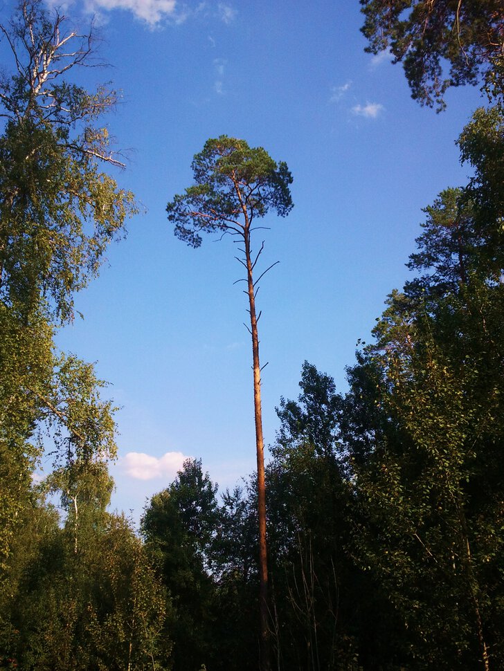 Одиночество