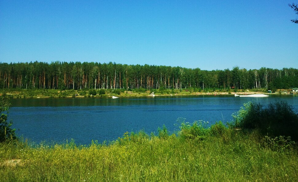 По лесам
