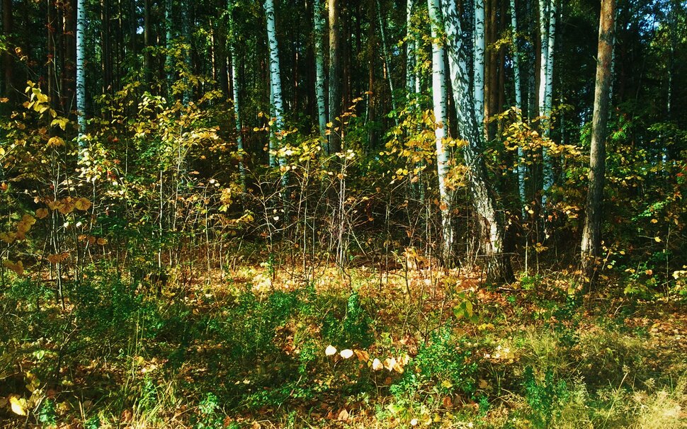 Сентябрь