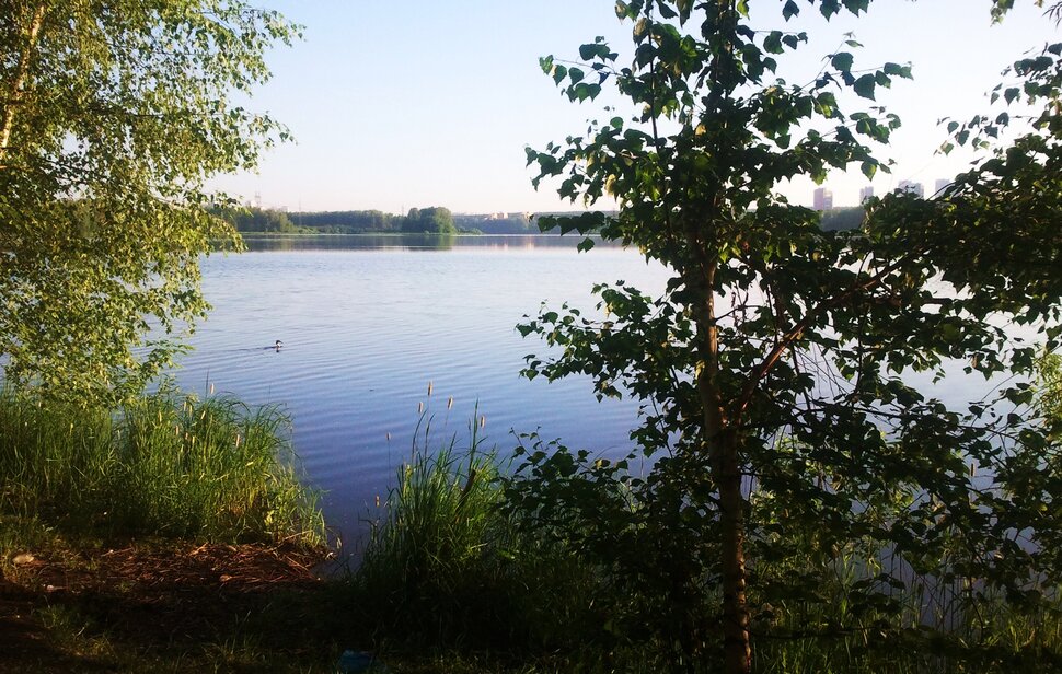 У реки