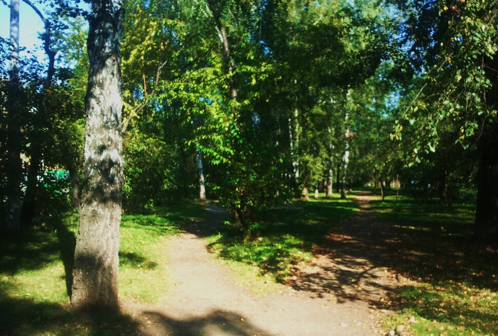 В лесочке