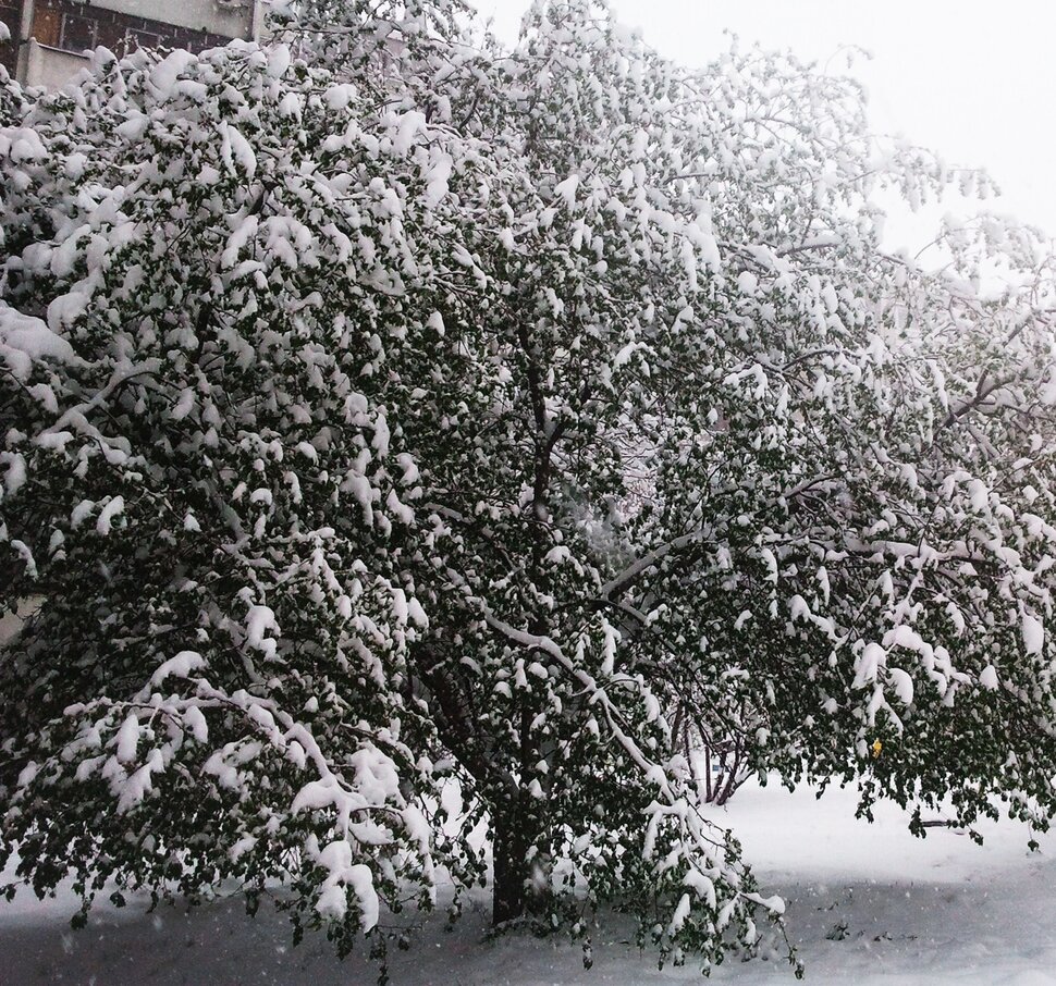 Во дворе