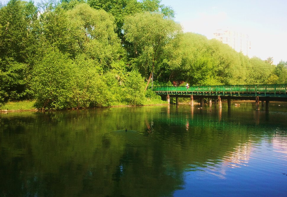 Река и мостик