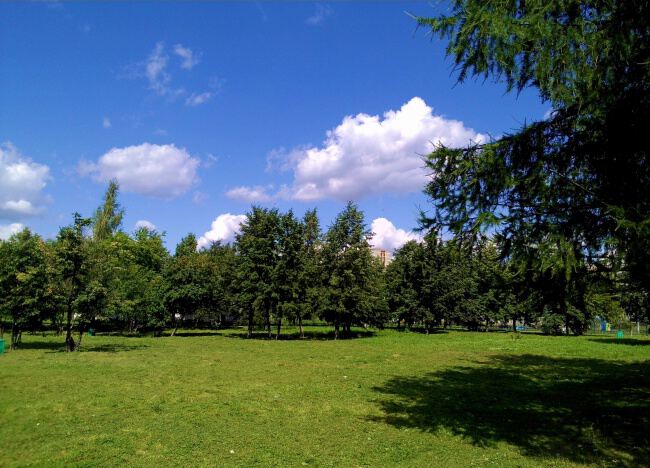 С природой