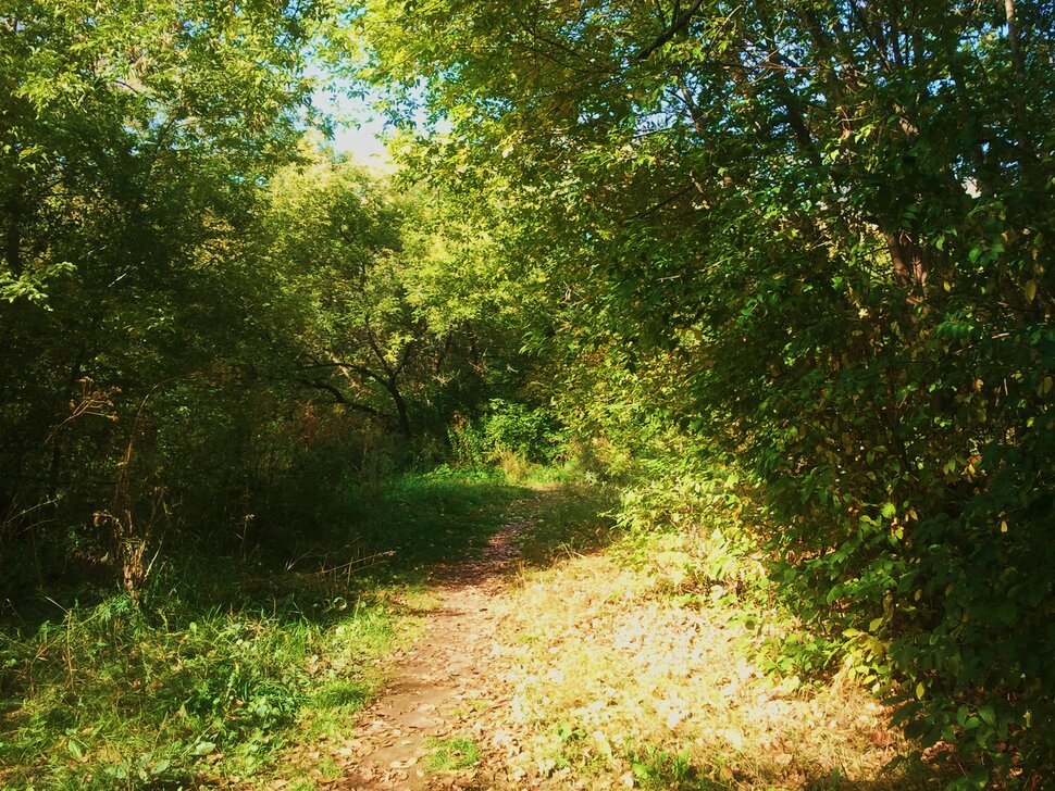 Сентябрь