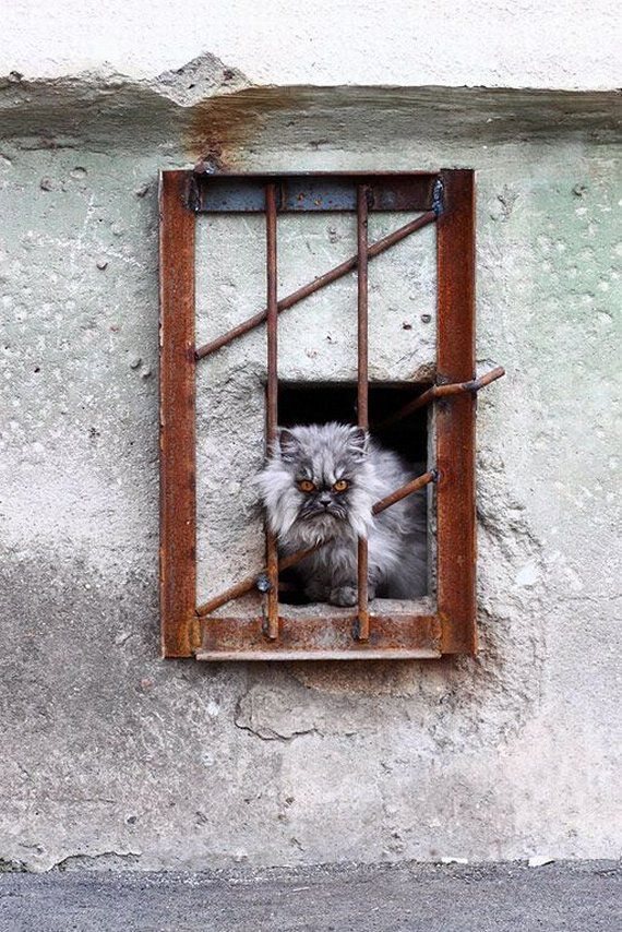 Пристальный взгляд