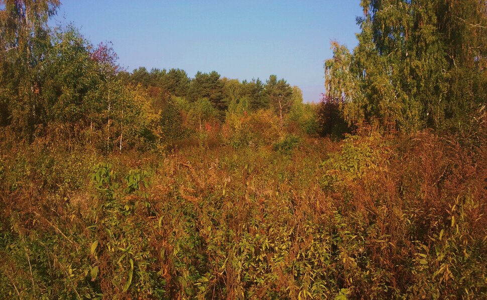 Сентябрь