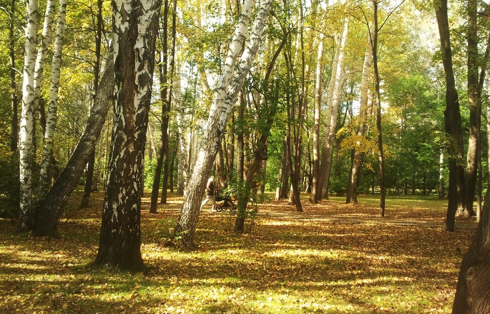 Сентябрь