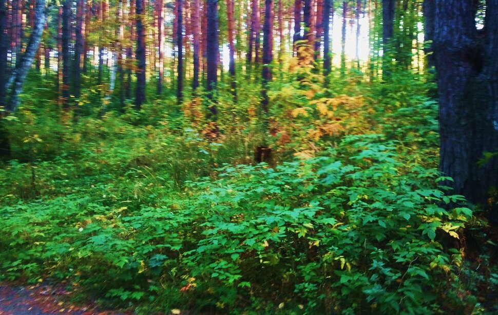 Сентябрь