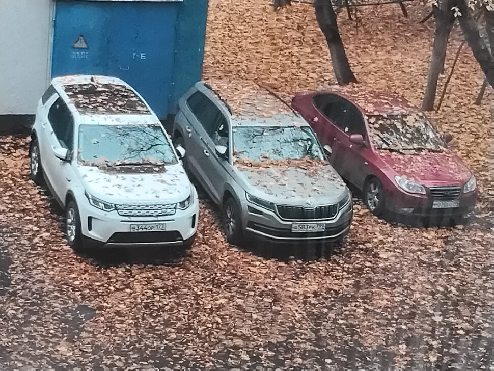 Три авто в листве осенней