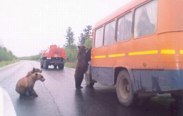 Проверка документов