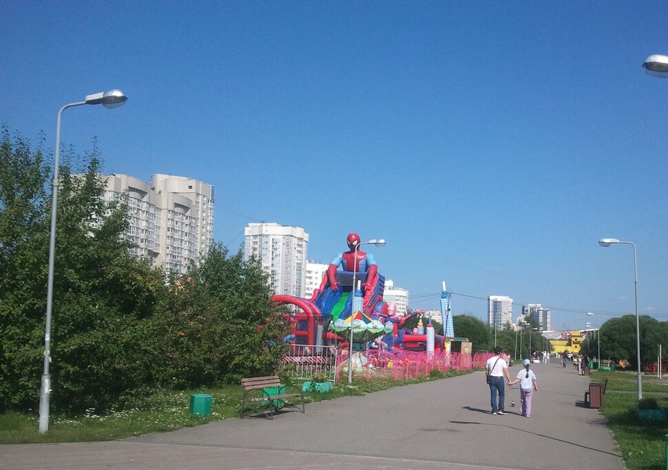 В парке летом