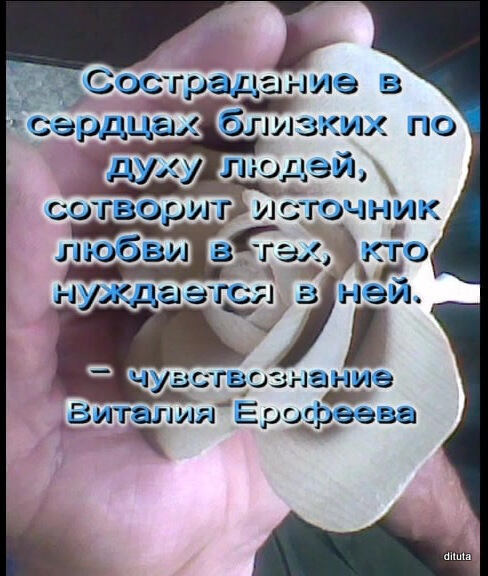 Братство