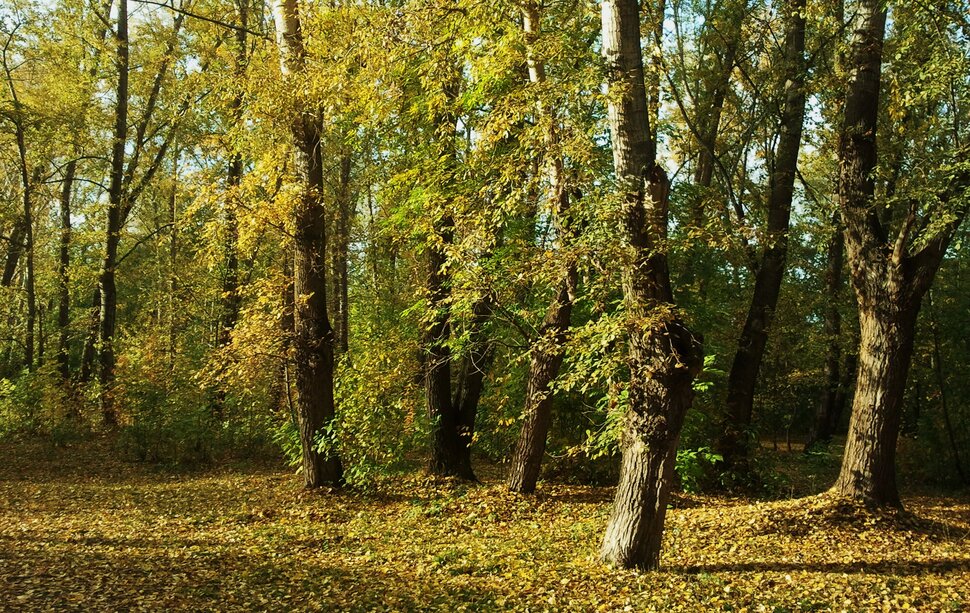 Последние дни сентября