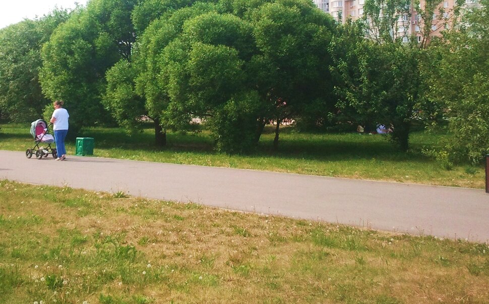 В парке летом