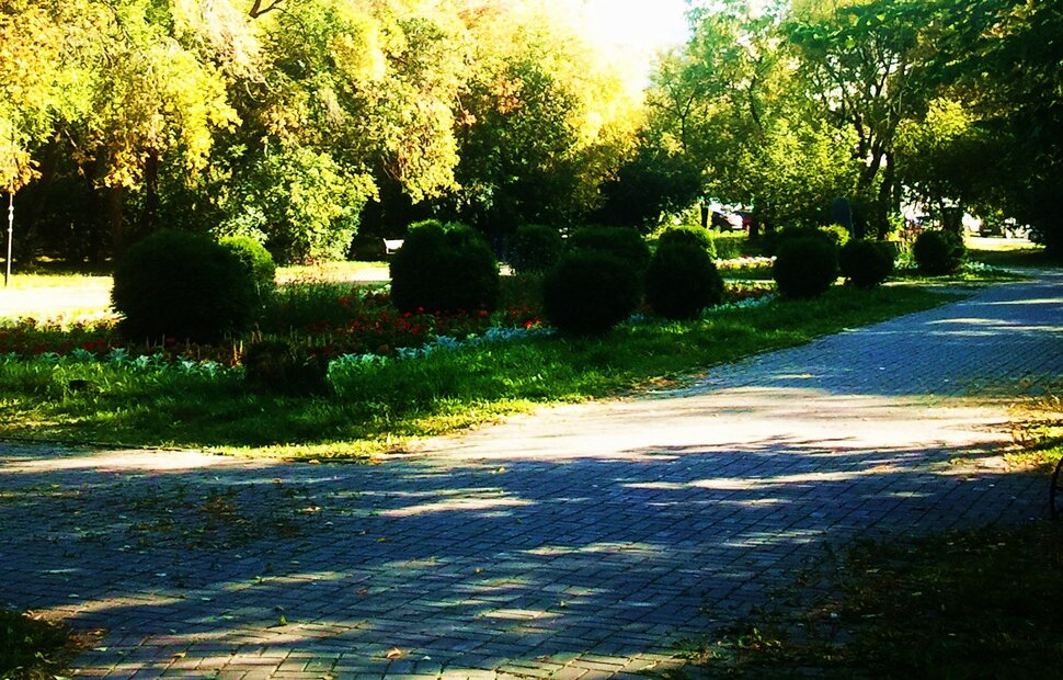 В скверике