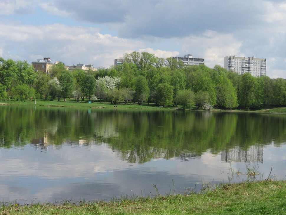 Головинские пруды в середине мая