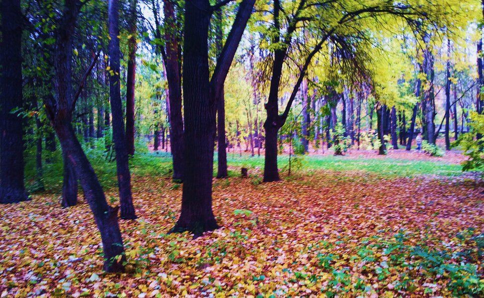 Осенний полдень