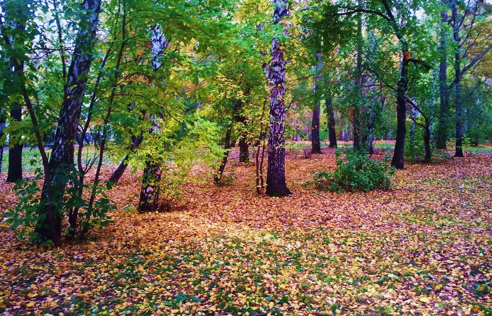 Осенние краски