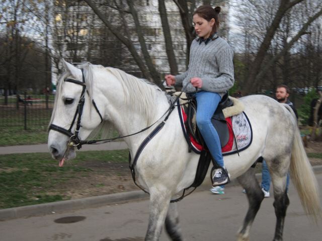 На белом коне