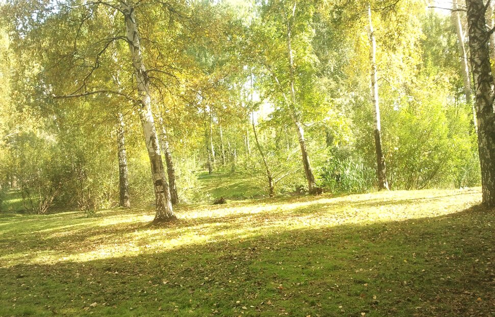 Сентябрь