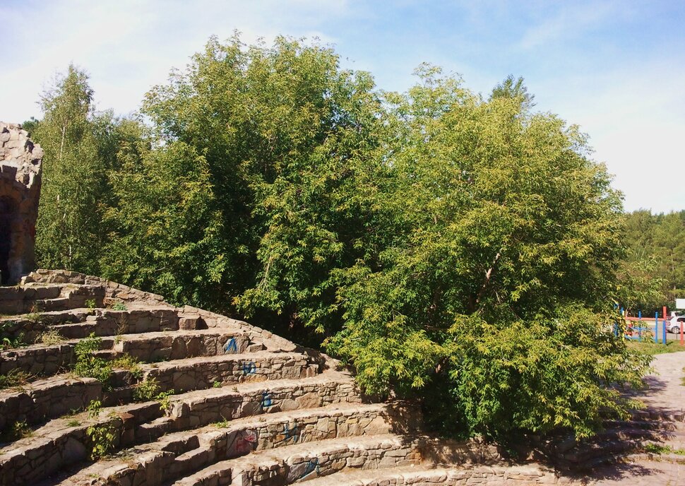 В парке