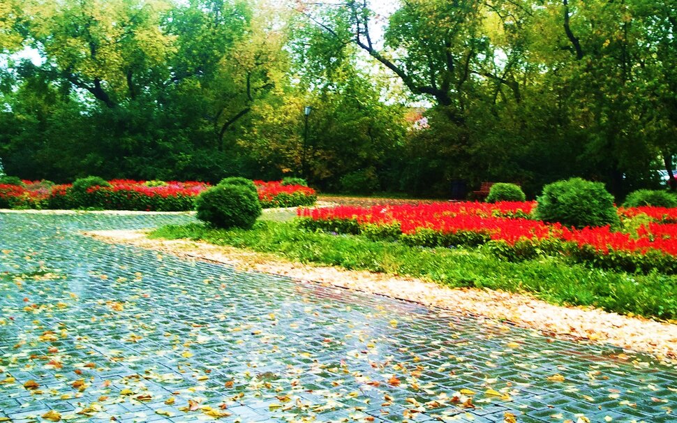 В скверике