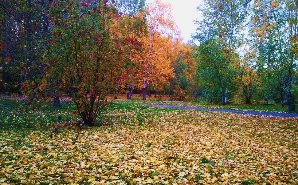 По осени