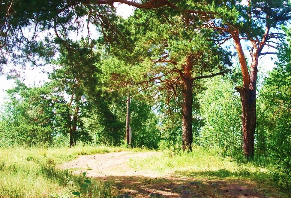 Июнь