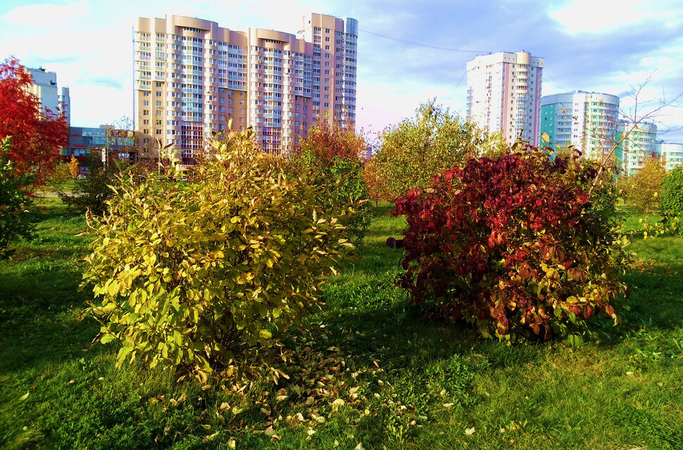 Осень в Екатеринбурге