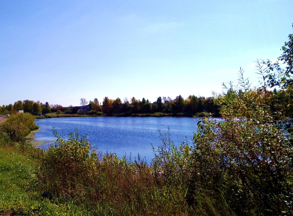 У реки
