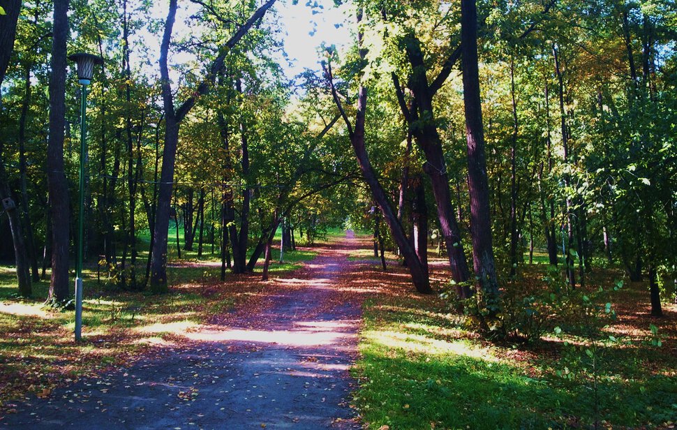 В старом парке