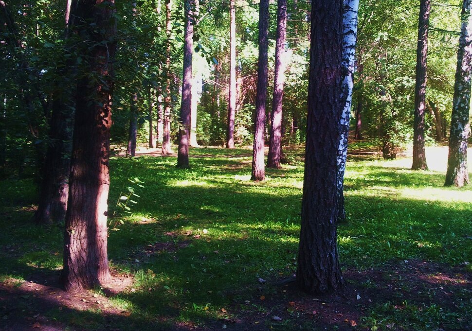 Сентябрь