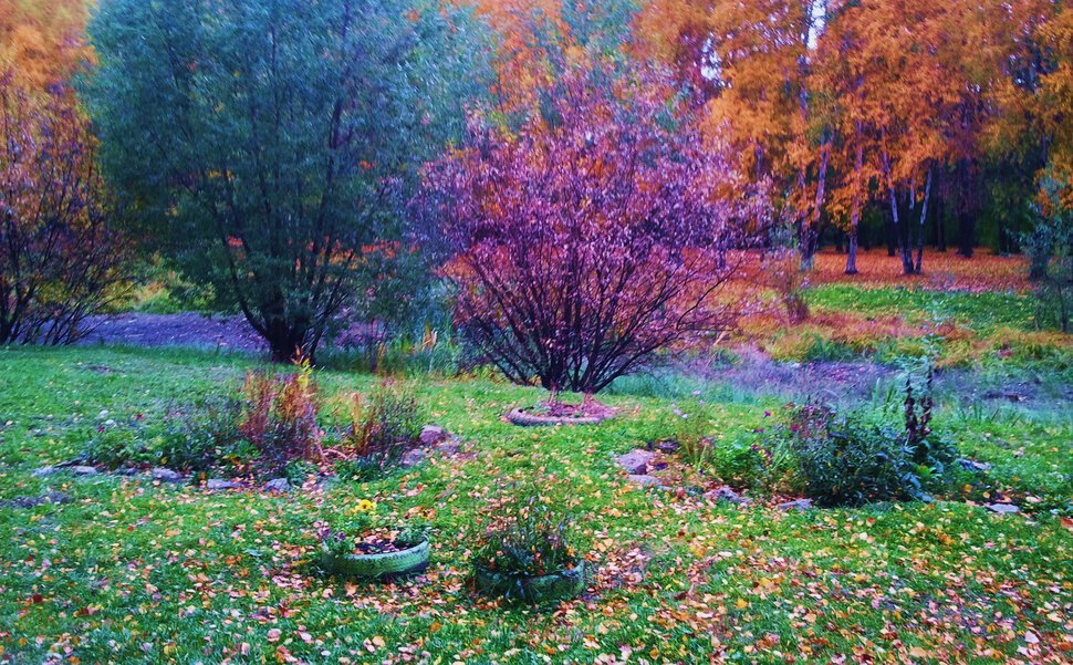 В осеннем парке