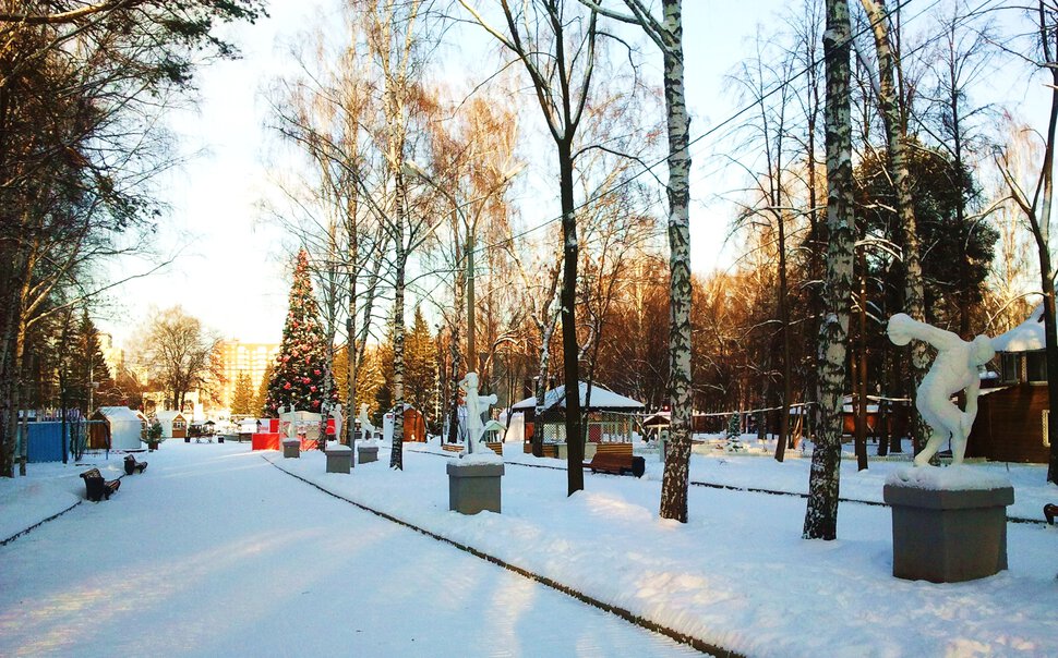 Зима в парке