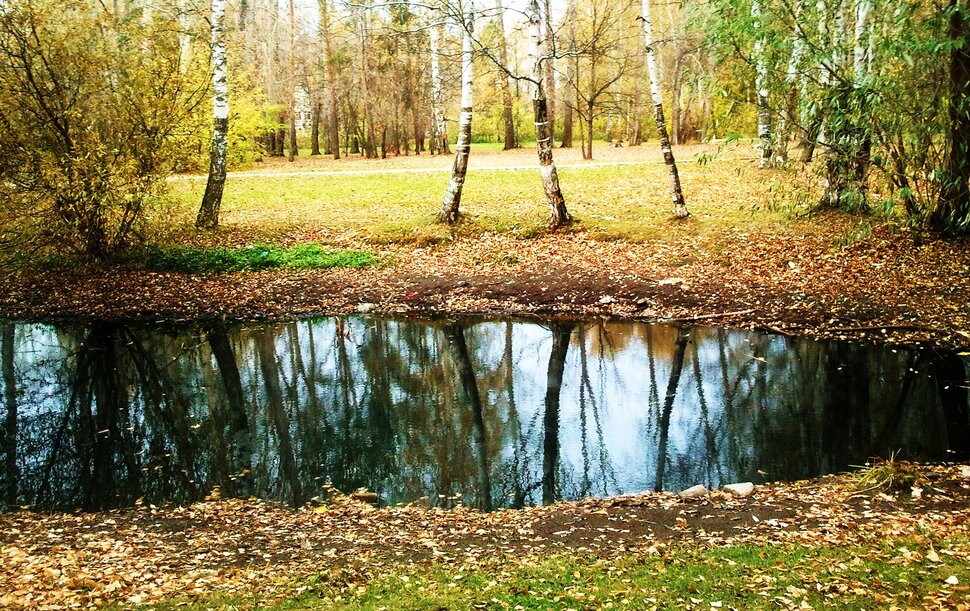 У протоки